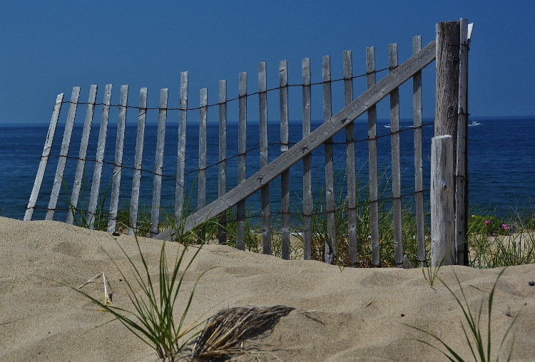 the beach